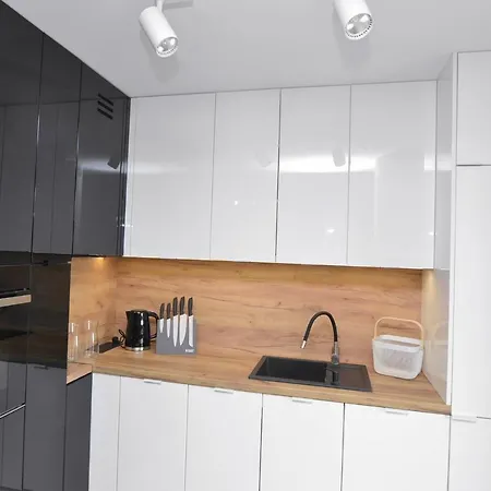 Krolowej Bony- Z Garazem Centrum Gliwic Apartment *