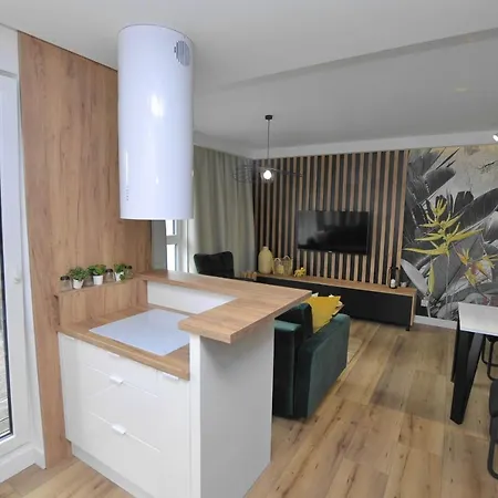 Apartment Krolowej Bony- Z Garazem Centrum Gliwic *